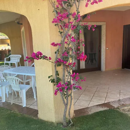 La Fragola Di Nyaraló *